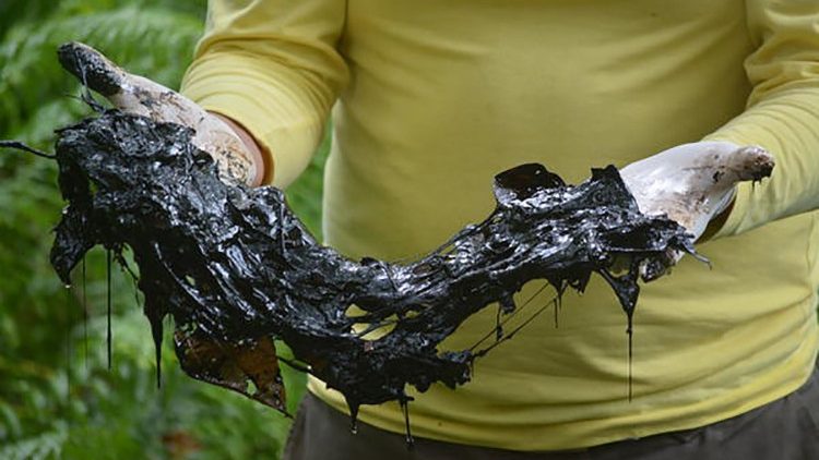 Rastros de la contaminación de la indusria petrolera